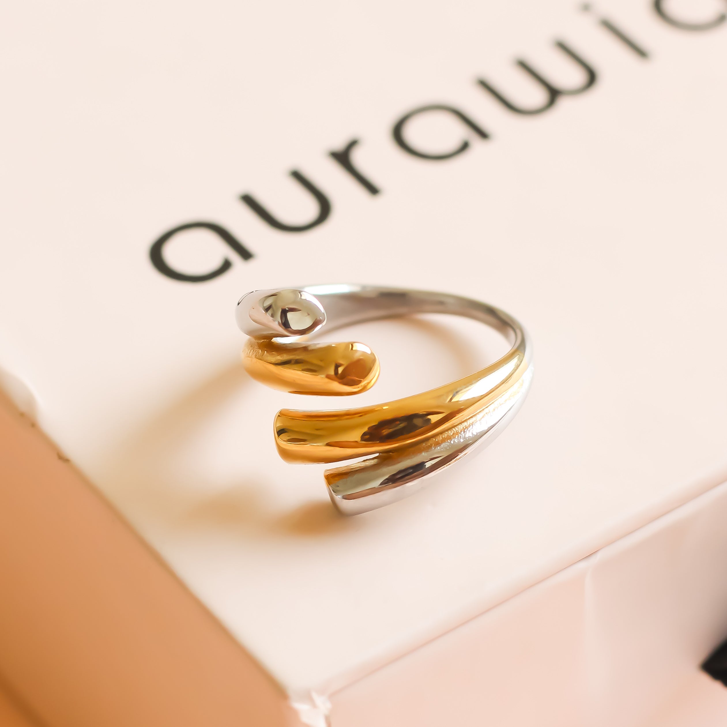 Monet Ring | Silver & Gold | Adjustable